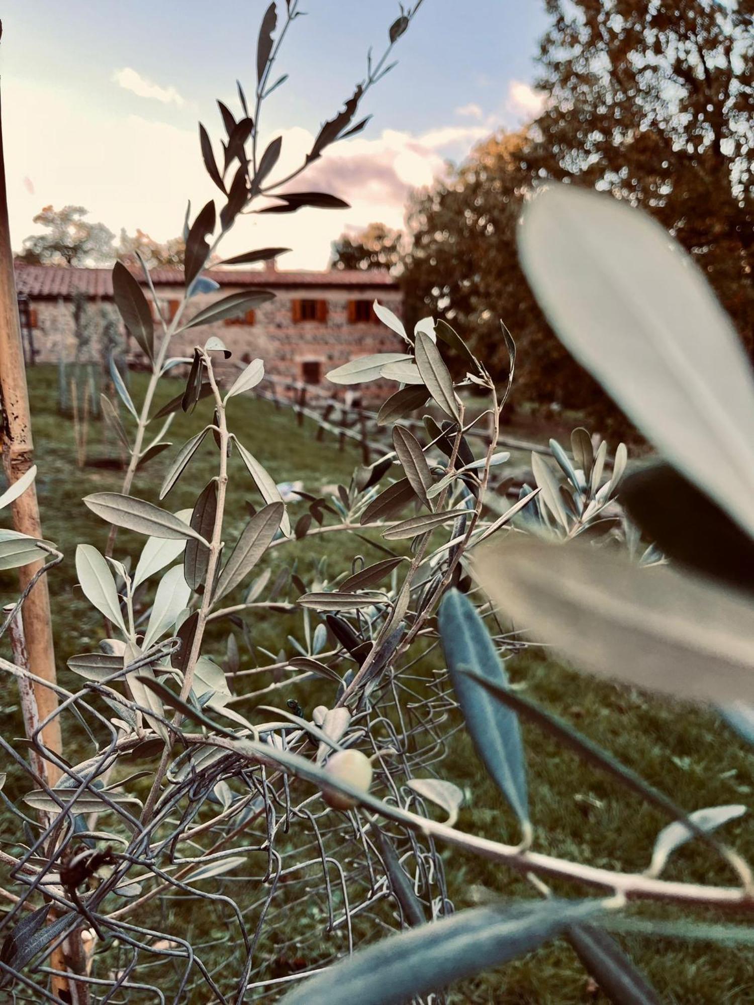 Casetta Di Ugolino Radicofani Exterior foto